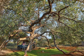 ZuriCamp - Campsite Halishi